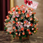 toma la imagen adjunta como base y genera misaocd