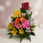 toma la imagen adjunta como base y genera u8co2