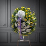 toma la imagen adjunta como base y genera zvds7l