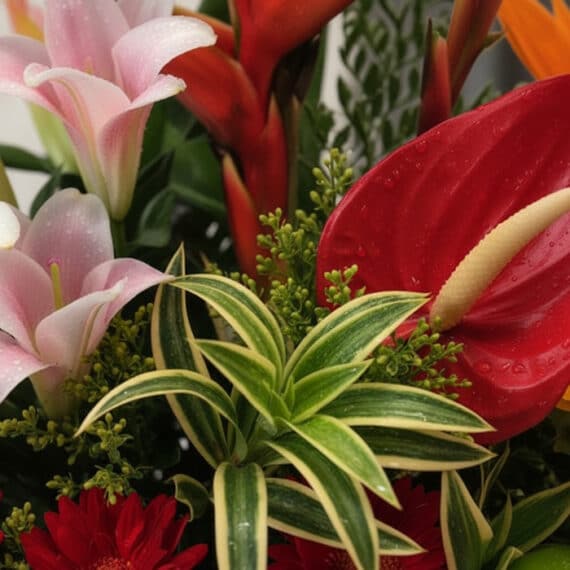 Primer plano extremo de un arreglo floral tropical con lirios rosados, anturios rojos, hojas verdes y gotas de rocío, destaca