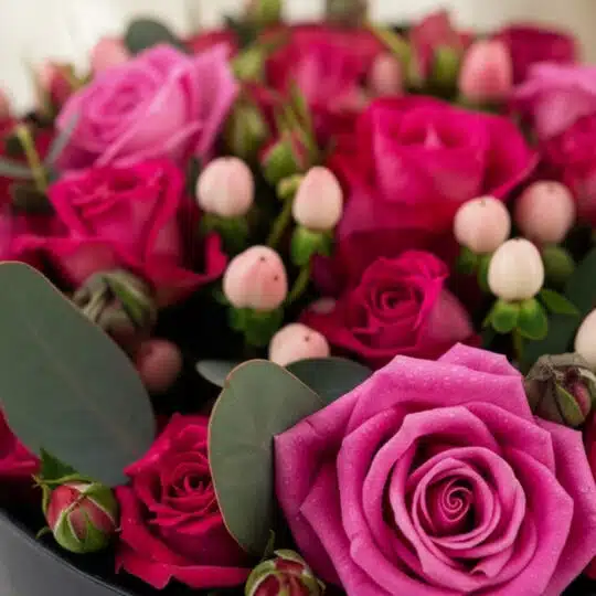 Primer plano extremo de Arreglo Floral LILIAN con rosas lila y rojas, capullos y hojas verdes, gotas de rocío, textura hiperr