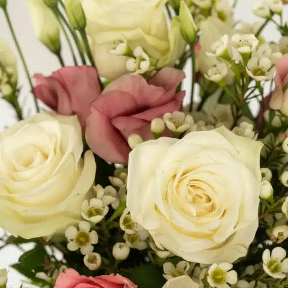 Primer plano extremo de Bouquet Floral SUSANA con rosas blancas y rosadas, astromelias y pequeñas flores blancas, con gotas d