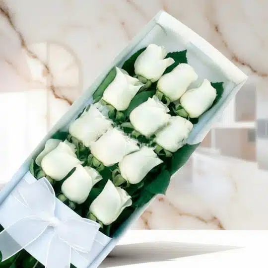 Caja de 12 rosas blancas frescas con moño blanco, presentadas elegantemente sobre un fondo de mármol claro, ideal para ecomme