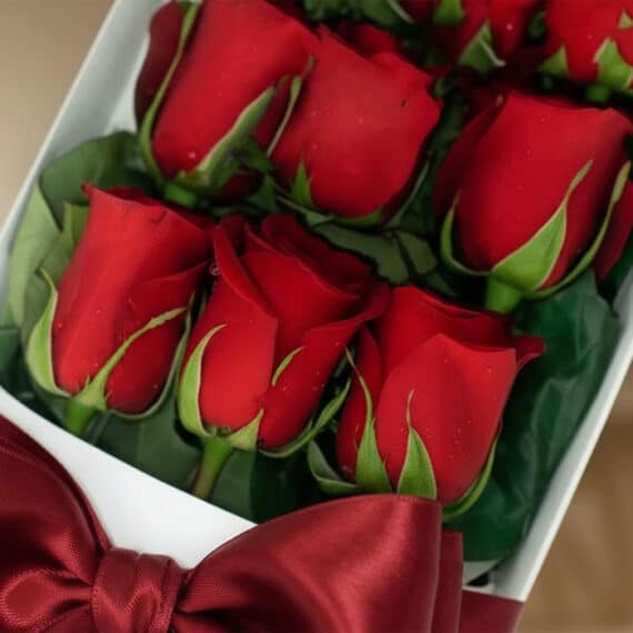 Primer plano extremo de doce rosas rojas frescas con gotas de rocío, presentadas en una caja blanca con un lazo de satén rojo