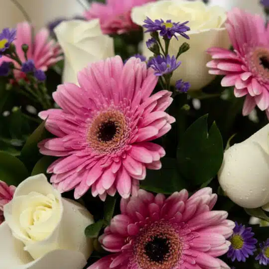 Primer plano extremo de un arreglo floral 'Jarrón Primavera' con gerberas rosas, rosas blancas y pequeñas flores moradas, tod