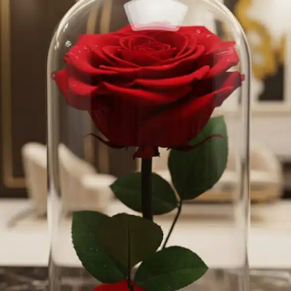 Primer plano de una rosa roja preservada dentro de una elegante cúpula de cristal, con sutiles gotas de rocío en los pétalos